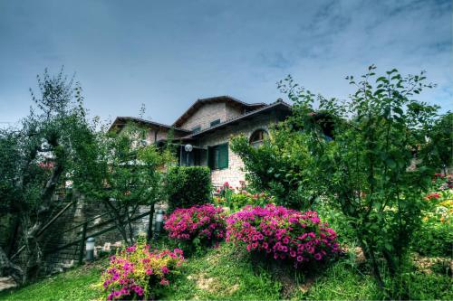B&B Villa Garden - image 8