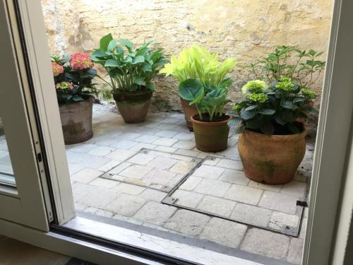 Hamiltonhouse – Bruges, CO