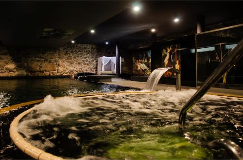 Басейн, Hotel Krasicki in Лідзбарк Вармінскій