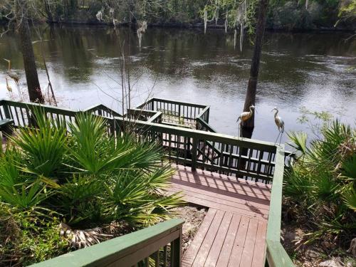 MARGARITAVILLE ON THE SUWANNEE RIVER in Mayo