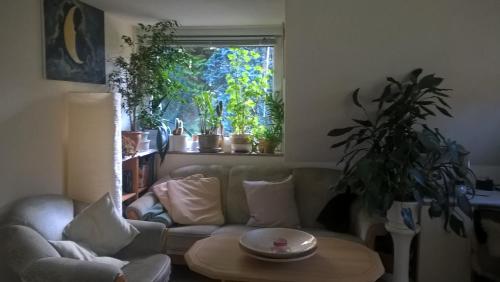 Gemutl. Ferienwohnung und Privatzimmer - Seevetal