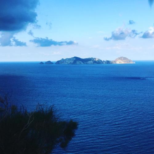 La Vite, Ponza (foto 7)