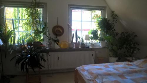 Gemütl. Ferienwohnung und Privatzimmer, Hamburgo (foto 5)