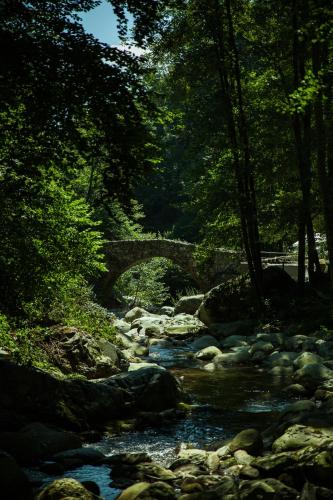 Mulìn Turcìn (Mulin Turcin) in Coassolo Torinese