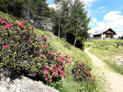 Rifugio Al Lago del Mortirolo