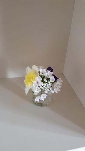 Guest house Il Nido - image 12