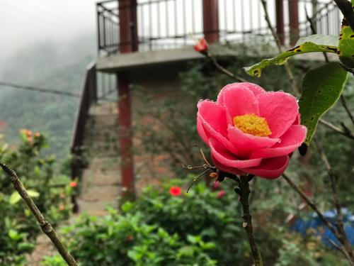 Tự Viện Xanh Villa Tự Viện Xanh Villa