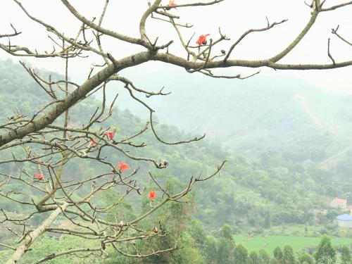 Tự Viện Xanh Villa Tự Viện Xanh Villa