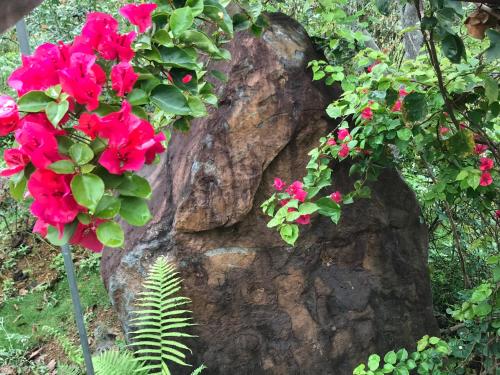 Tự Viện Xanh Villa Tự Viện Xanh Villa