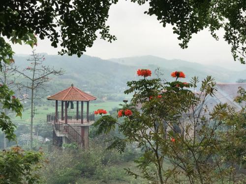 Tu Vien Xanh Homestay