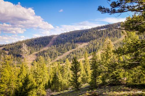 Big Horn 7 - image 8
