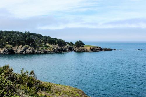 Sea Dream and Sand Dollar Suite - image 6