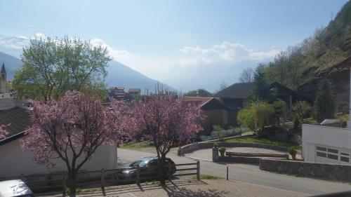 Garni Marianne - image 3