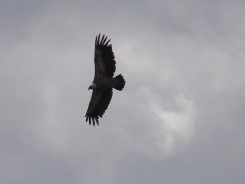 Hotel La Posada - image 14