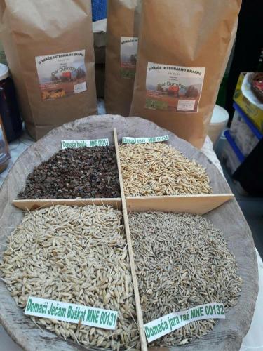 Organic Family Farm - image 5