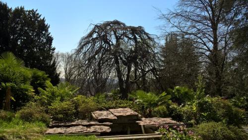 Villa Magnolia Lago Maggiore