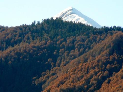 Viesnīcas āriene, LA Bouigane in Castillon-en-Couserans