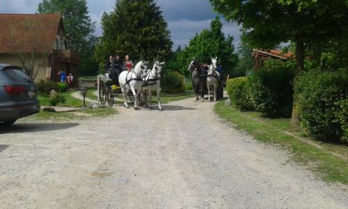 HARTMANN PANZIÓ - image 10