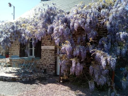 Gite Bleu in เมนิล-แว็ง