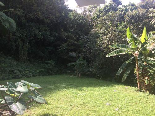 Million dollar view in Puerto Rico - image 6