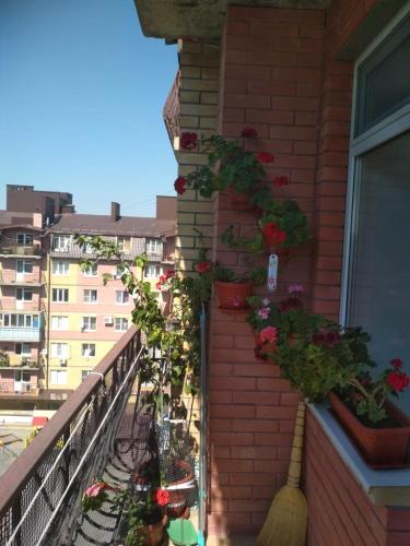 апартаменты у Владимира