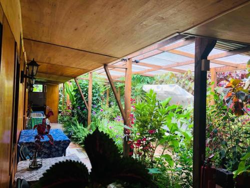 Kert, Hostal Vaihere near Easter Island Repülőtér