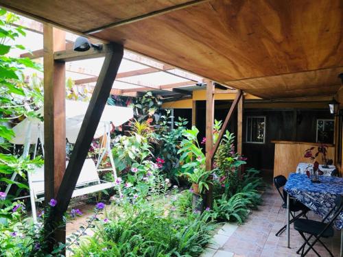 Kert, Hostal Vaihere near Easter Island Repülőtér