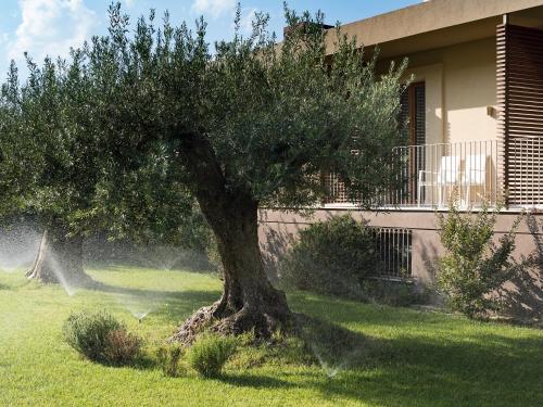 Rocca dei Saraceni Rocca dei Saraceni is a popular choice amongst travelers in Regalbuto, whether exploring or just passing through. Featuring a satisfying list of amenities, guests will find their stay at the property 