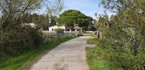 Mas des cypres - image 11