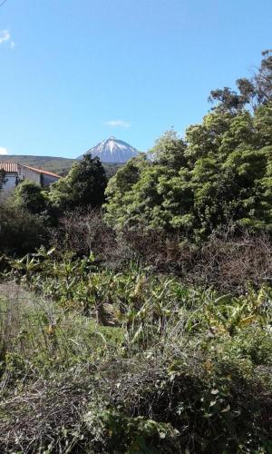  Cerca dos Frades, Pension in São Roque do Pico bei Santa Luzia