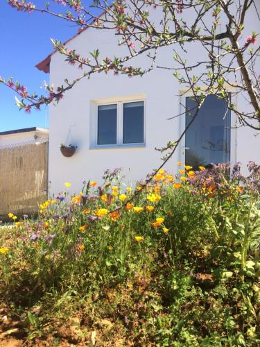  A Casa dos Vinhos, Unterkunft in Cabeças