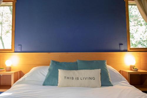 1 king bed, 1 sofa bed