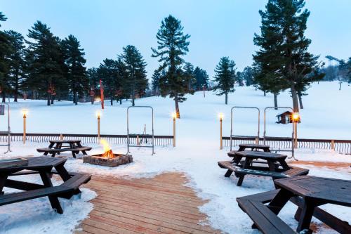 Pine Mountain Resort Trademark Collection by Wyndham - image 8