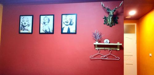 Burano, Zhushan (foto 7)