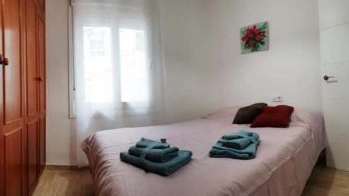 DS Apartamento Plaza Colón, Córdoba (foto 10)
