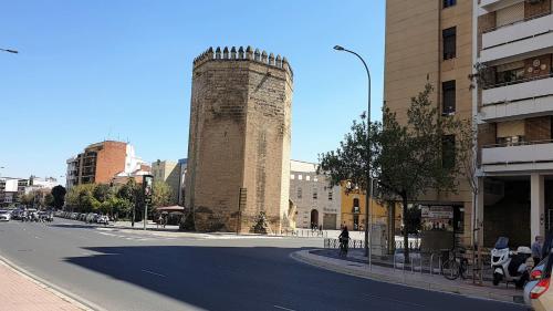 DS Apartamento Plaza Colón, Córdoba (foto 6)