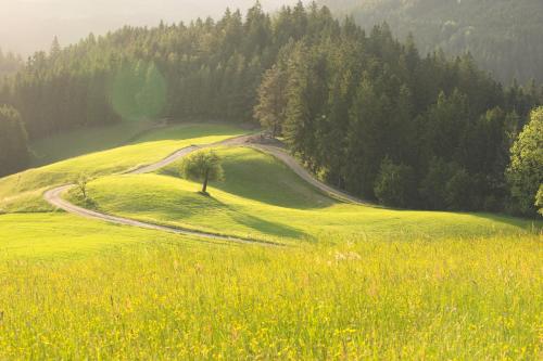 Lake Peak Apartments, Ribniško Pohorje