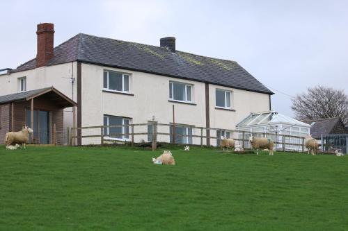 Cob Cottage