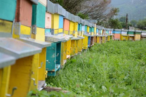 Agriturismo Dalla Natura la Salute