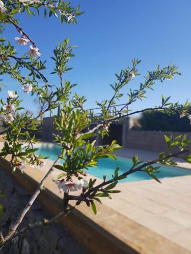 Úszómedence, La Codina in San Bartolomé Del Grau