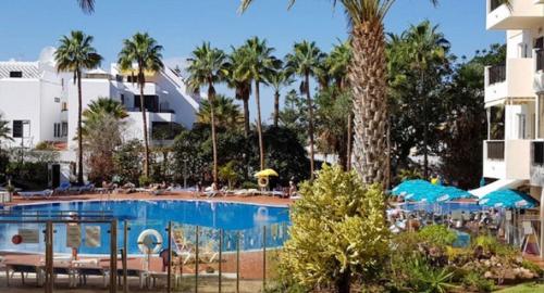  Shining Gold El Dorado in Playa de las Americas