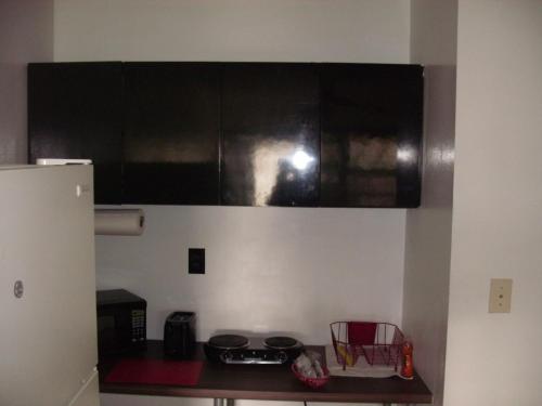 Newly Furnished Large Clean Quiet Private Unit in 라우더힐