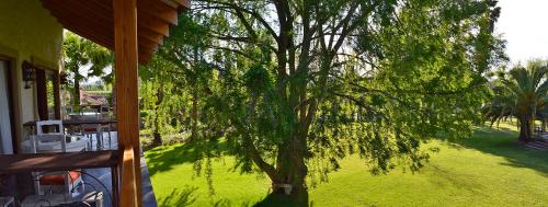 Book the Large Double Room Large Double Room