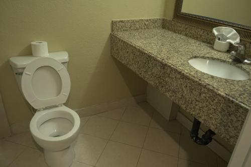 LAX Stadium Inn - image 11