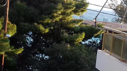  My Loutraki house 20 meters from the sea in Loutraki