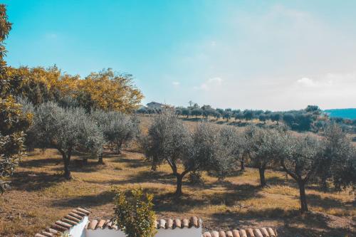  Mancinelli B&B, Pension in Canosa Sannita bei Casacanditella