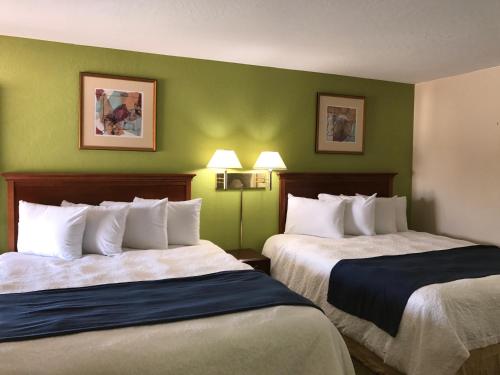 2 king beds, 1 queen bed