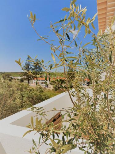 Pure Fonte Velha B&B - image 5