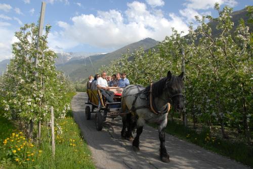 Landhotel Anna - image 2