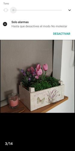 Habitacion Centrica - Only Women